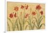 Row of Red Amaryllis-Cheri Blum-Framed Art Print