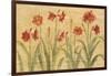 Row of Red Amaryllis-Cheri Blum-Framed Art Print