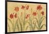 Row of Red Amaryllis-Cheri Blum-Framed Art Print