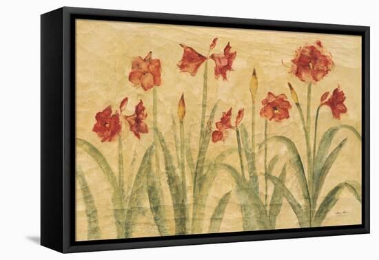 Row of Red Amaryllis-Cheri Blum-Framed Stretched Canvas