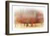 Row of Red Trees-Chris Vest-Framed Photographic Print