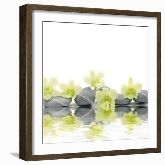 Row of Stones and Orchid with Reflection-Apollofoto-Framed Photographic Print