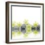 Row of Stones and Orchid with Reflection-Apollofoto-Framed Photographic Print