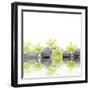 Row of Stones and Orchid with Reflection-Apollofoto-Framed Photographic Print