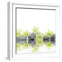 Row of Stones and Orchid with Reflection-Apollofoto-Framed Photographic Print