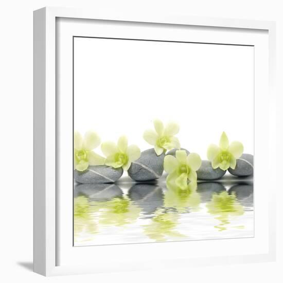 Row of Stones and Orchid with Reflection-Apollofoto-Framed Photographic Print