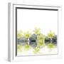 Row of Stones and Orchid with Reflection-Apollofoto-Framed Photographic Print