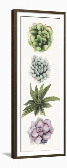 Row of Succulents II-Grace Popp-Framed Art Print