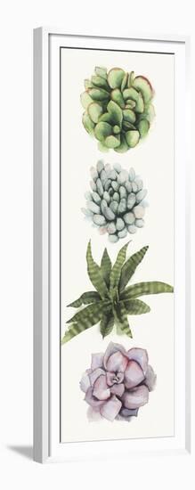 Row of Succulents II-Grace Popp-Framed Art Print