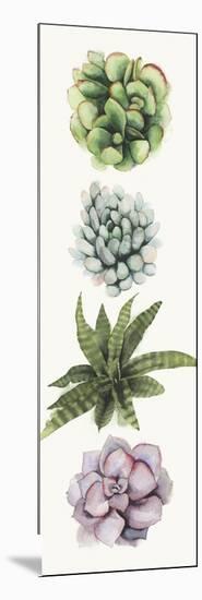 Row of Succulents II-Grace Popp-Mounted Art Print