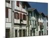 Row of Traditional Buildings in the Village of Ainhoa in the Pyrenees in Aquitaine, France-Michael Busselle-Mounted Photographic Print