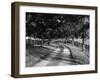 Row of Trees and Country Lane at Dawn, Bluegrass Region, Kentucky, USA-Adam Jones-Framed Premium Photographic Print