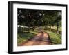 Row of Trees and Country Lane at Dawn, Bluegrass Region, Kentucky, USA-Adam Jones-Framed Premium Photographic Print