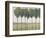 Row of Trees I-null-Framed Art Print