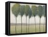 Row of Trees I-null-Framed Stretched Canvas