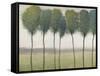 Row of Trees I-null-Framed Stretched Canvas