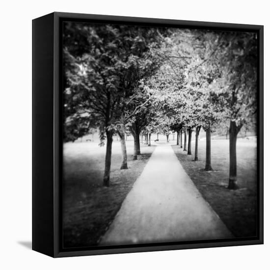 Row of Trees in a Park-Craig Roberts-Framed Stretched Canvas