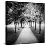 Row of Trees in a Park-Craig Roberts-Stretched Canvas