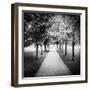 Row of Trees in a Park-Craig Roberts-Framed Photographic Print