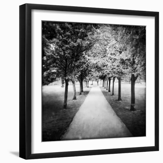 Row of Trees in a Park-Craig Roberts-Framed Photographic Print