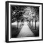 Row of Trees in a Park-Craig Roberts-Framed Photographic Print