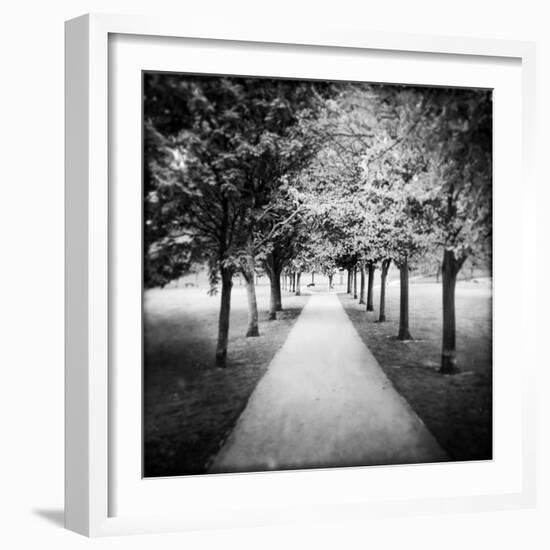 Row of Trees in a Park-Craig Roberts-Framed Photographic Print