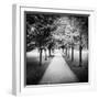 Row of Trees in a Park-Craig Roberts-Framed Photographic Print