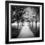 Row of Trees in a Park-Craig Roberts-Framed Photographic Print