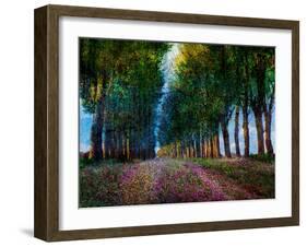 Row of Trees Provence-Chris Vest-Framed Art Print