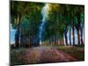 Row of Trees Provence-Chris Vest-Mounted Art Print