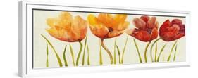 Row of Tulips I-Tim OToole-Framed Premium Giclee Print