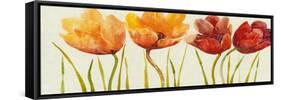 Row of Tulips I-Tim OToole-Framed Stretched Canvas