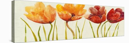 Row of Tulips I-Tim OToole-Stretched Canvas