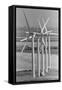 Row of Wind Turbines at Wind Farm-Terry Schmitt-Framed Stretched Canvas