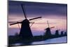 Row of Windmills at Sunrise in the Netherlands-Darrell Gulin-Mounted Photographic Print