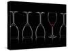 Row of Wine Glasses and a Glass of Red Wine Against a Black Background-Shawn Hempel-Stretched Canvas