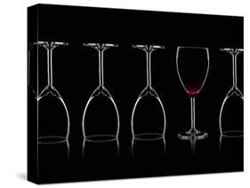 Row of Wine Glasses and a Glass of Red Wine Against a Black Background-Shawn Hempel-Stretched Canvas