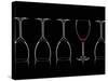 Row of Wine Glasses and a Glass of Red Wine Against a Black Background-Shawn Hempel-Stretched Canvas