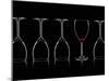 Row of Wine Glasses and a Glass of Red Wine Against a Black Background-Shawn Hempel-Mounted Photographic Print