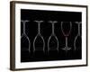 Row of Wine Glasses and a Glass of Red Wine Against a Black Background-Shawn Hempel-Framed Photographic Print