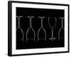 Row of Wine Glasses and a Glass of Red Wine Against a Black Background-Shawn Hempel-Framed Photographic Print