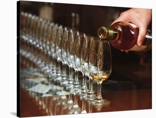 Row of Wine Tasting Glasses, Chateau La Tour Blanche, Sauternes-Per Karlsson-Stretched Canvas