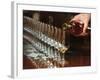 Row of Wine Tasting Glasses, Chateau La Tour Blanche, Sauternes-Per Karlsson-Framed Photographic Print