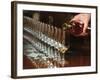 Row of Wine Tasting Glasses, Chateau La Tour Blanche, Sauternes-Per Karlsson-Framed Photographic Print