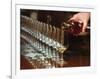 Row of Wine Tasting Glasses, Chateau La Tour Blanche, Sauternes-Per Karlsson-Framed Photographic Print