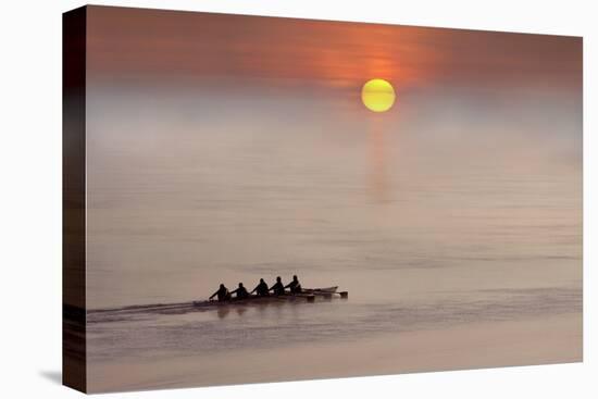 Row,Row,Row Your Boat-Adrian Campfield-Stretched Canvas