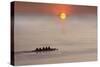 Row,Row,Row Your Boat-Adrian Campfield-Stretched Canvas