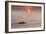 Row,Row,Row Your Boat-Adrian Campfield-Framed Photographic Print