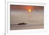 Row,Row,Row Your Boat-Adrian Campfield-Framed Photographic Print