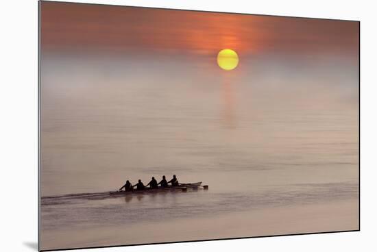 Row,Row,Row Your Boat-Adrian Campfield-Mounted Photographic Print